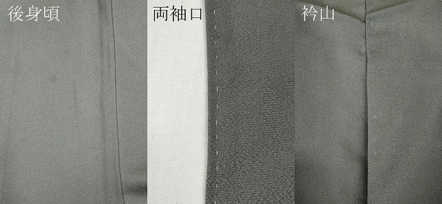 平和屋着物●豪華色留袖　作家物　手描き　舞花文　銀通し地　正絹　逸品　CABF3301ut