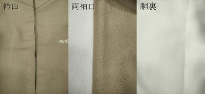 平和屋着物●訪問着　地紙扇面花文　金彩　正絹　逸品　CABF3424ut