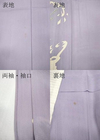 平和屋着物＊夏物 訪問着 絽 立波文 正絹 逸品 CABF3537ut