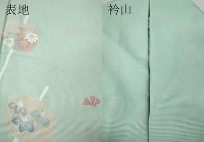 平和屋着物＊夏物 訪問着 絽 草花丸文 銀彩 正絹 逸品 CABF3541ut
