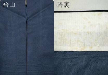 平和屋着物＊夏物 訪問着 絽 花火 金彩 洗える着物 CABF3555ut