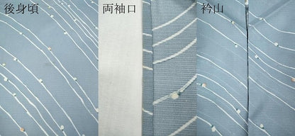平和屋着物＊夏物 小紋 絽 枝蕾 洗える着物 CABF3561ut