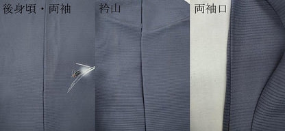 平和屋着物＊夏物　訪問着　絽　蛍流水草花文　暈し染め　銀糸　正絹　逸品　CABF3570ut