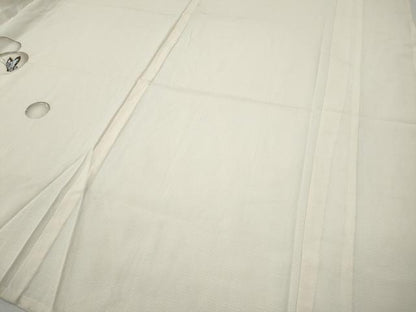 平和屋着物＊夏物 訪問着 絽 手描き 舞蝶文 正絹 逸品 CABF3571ut