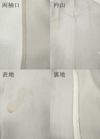 平和屋着物＊夏物 訪問着 絽 友禅 作家物 草花文 暈し染め ロング丈 正絹 逸品 CABF3572ut