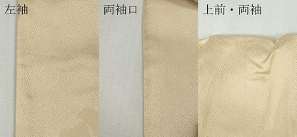 平和屋着物●ジャパンオートクチュール　渡辺雪三郎　訪問着　手描き　舞花びら　やまと誂製　正絹　逸品　CABF3588ut