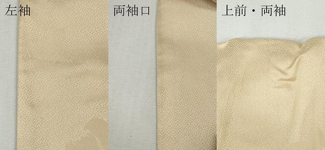 平和屋着物●ジャパンオートクチュール　渡辺雪三郎　訪問着　手描き　舞花びら　やまと誂製　正絹　逸品　CABF3588ut