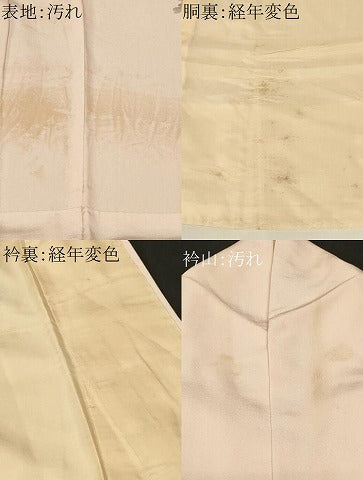 平和屋着物■訪問着　枝花文　金彩　正絹　逸品　CABF3607ev