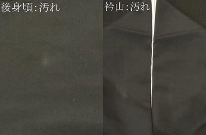 平和屋着物■豪華黒留袖 友禅 尾長鳥枝花文 正絹 逸品 CABF3773ev
