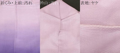 平和屋着物■訪問着　流水文　暈し染め　正絹　逸品　CABF3833ev