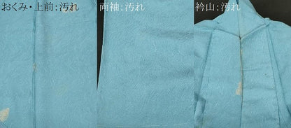 平和屋着物■上質な小紋　舞葉文　金銀糸　正絹　逸品　CABF3846ev