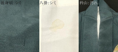 平和屋着物■訪問着 地紙流水草花文 暈し染め 金銀彩 正絹 逸品 CABF4036ev