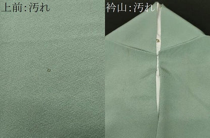 平和屋着物■上質な色無地　柳染色　正絹　逸品　CABF4090ev