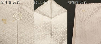平和屋着物■豪華色留袖 刺繍 絞り 道長草花文 金彩 正絹 逸品 CABF4120ev
