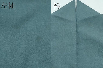 平和屋着物▽訪問着　単衣　暈し染め　洗える着物　CABF4477rv