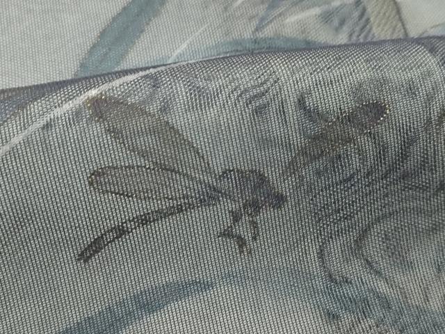 平和屋着物▽訪問着　無双　紗袷　紗×紗　手描き　トンボ　草木文　金彩　正絹　逸品　CABF4549rv