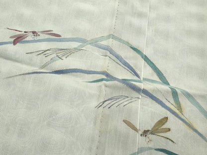 平和屋着物▽訪問着　無双　紗袷　紗×紗　手描き　トンボ　草木文　金彩　正絹　逸品　CABF4549rv