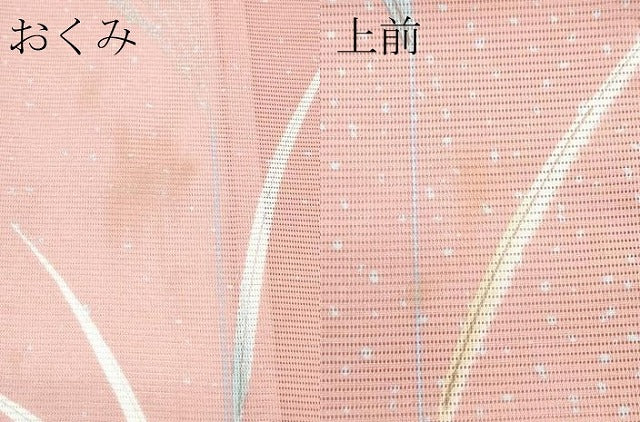 平和屋着物＊夏物 小紋 絽 舞蝶草木文 洗える着物 CABF4571rv