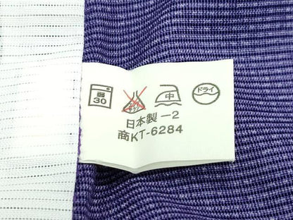 平和屋着物＊夏物 訪問着 絽 風景草花文 金彩 洗える着物 CABF4573rv