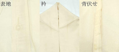 平和屋着物＊夏物 訪問着 絽 手描き 鴨 正絹 逸品 CABF4578rv