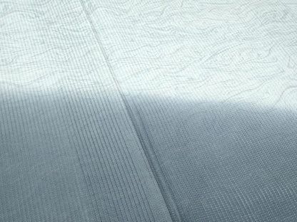 平和屋着物＊夏物 訪問着 縦絽 墨流し文様 暈し染め 正絹 逸品 CABF4579rv