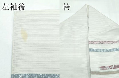 平和屋着物＊夏物 訪問着 絽 横段鳳凰花文 銀彩 正絹 逸品 CABF4582rv