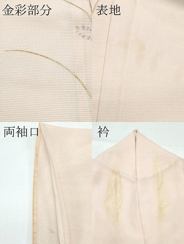平和屋着物＊夏物 訪問着 絽 雪輪草花文 金彩 正絹 逸品 CABF4587rv