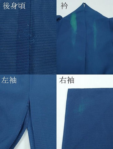 平和屋着物＊夏物 訪問着 絽 ろうけつ染め 南天文 正絹 逸品 CABF4591rv