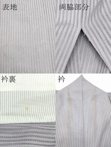 平和屋着物＊夏物 色留訪問着 縦絽 総刺繍 楓 萩 露芝文 金銀糸 正絹 逸品 CABF4592rv