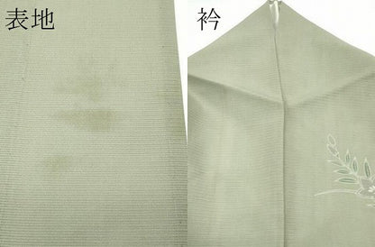 平和屋着物＊夏物 訪問着 絽 秋草文 正絹 逸品 CABF4599rv