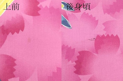 平和屋着物∴夏物　浴衣　花尽くし　トンボ　綿　逸品　CABF4795rv