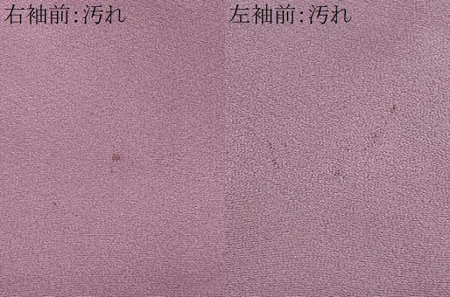 平和屋着物■色留訪問着 飛鶴松文 暈し染め 金銀彩 正絹 逸品 CABF4829xe