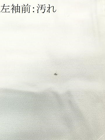 平和屋着物■訪問着　草花文　地紋起こし　暈し染め　正絹　逸品　CABF4835xe