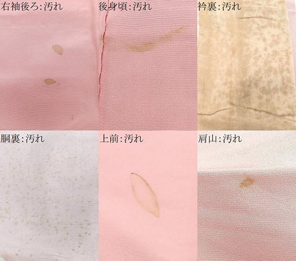 平和屋着物■色留訪問着 寿光織 鳳凰花文 金糸 正絹 逸品 CABF4857xe