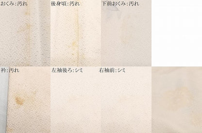 平和屋着物■訪問着 手描き 枝花文 金彩 正絹 逸品 CABF4861xe
