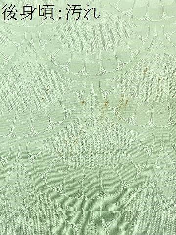 平和屋着物■訪問着　手描き　枝花文　金彩　正絹　逸品　CABF4897xe