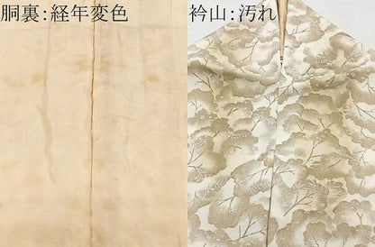 平和屋着物■訪問着　　正絹　逸品　CABF4903xe