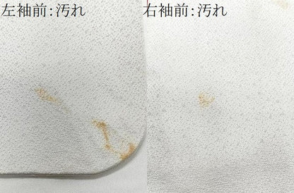 平和屋着物■訪問着　友禅　枝垂れ花文　正絹　逸品　CABF4904xe