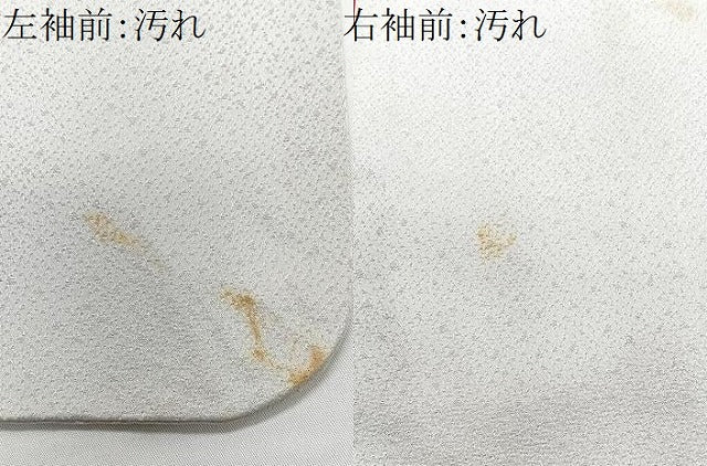 平和屋着物■訪問着　友禅　枝垂れ花文　正絹　逸品　CABF4904xe