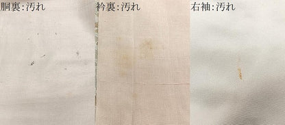 平和屋着物■訪問着 寿光織 舞花文 金銀糸 正絹 逸品 CABF4917xe