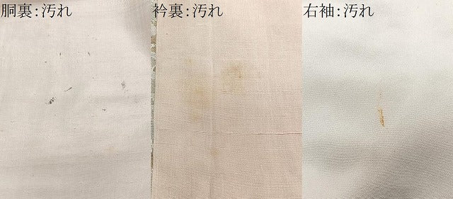 平和屋着物■訪問着 寿光織 舞花文 金銀糸 正絹 逸品 CABF4917xe