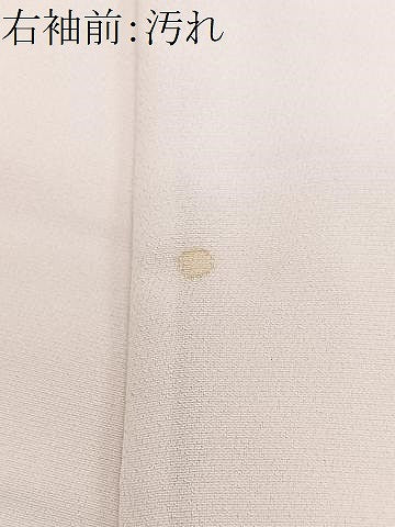 平和屋着物■訪問着　寿光織　鉾　草花文　金彩　正絹　逸品　CABF4968xe