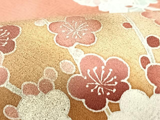 平和屋着物■訪問着 地紙枝垂れ花鳥文 金彩 正絹 逸品 CABF5030xe
