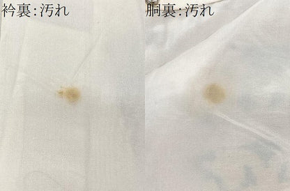 平和屋着物■上質な紬　草花文　正絹　逸品　CABF5117xe