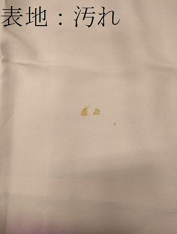平和屋着物■訪問着　草花文　暈し染め　正絹　逸品　CABF5710oy