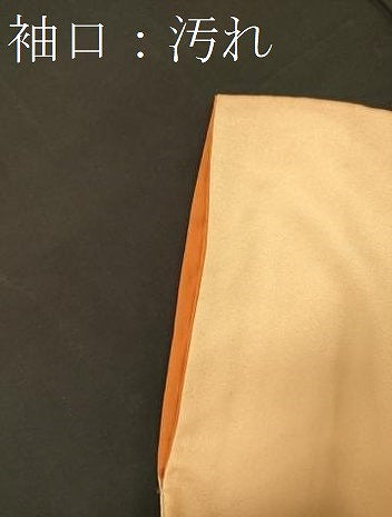 平和屋着物■訪問着　青海波文　暈し染め　正絹　逸品　CABF5721oy
