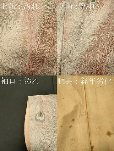 平和屋着物■上質な小紋　孔雀羽文　寿光織　正絹　逸品　CABF5737oy