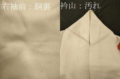 平和屋着物■訪問着　雲取り吉祥文　金彩　正絹　逸品　CABF5738oy