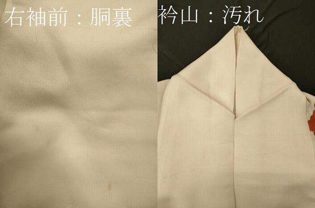 平和屋着物■訪問着　雲取り吉祥文　金彩　正絹　逸品　CABF5738oy