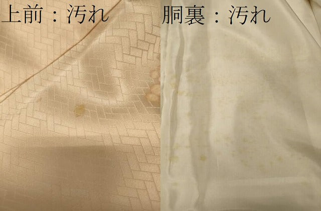 平和屋着物■訪問着　手描き　舞花文　金彩　正絹　逸品　CABF5749oy